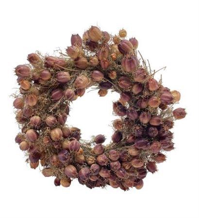 <h4>Wr Nigella Naturel 30cm</h4>