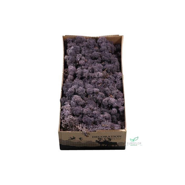 <h4>IJSLANDS MOS AUBERGINE 500GR</h4>