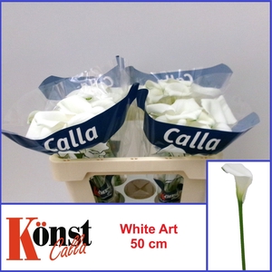 ZANT WHITE ART