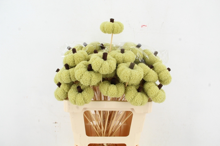 <h4>Stick Pumpkin Velvet 8cm Green</h4>