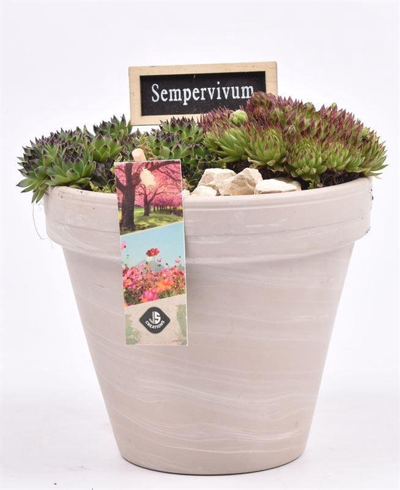 <h4>Keramiek pot granit 16 cm</h4>