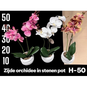 ZIJDE ORCHIDEEEN
