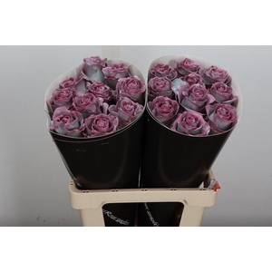 R Wx Classic Silverado