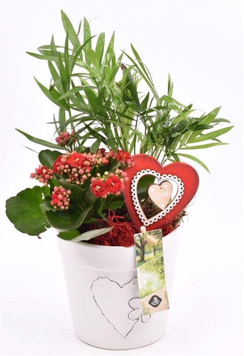 <h4>Keramiek pot wit met hart 13cm</h4>