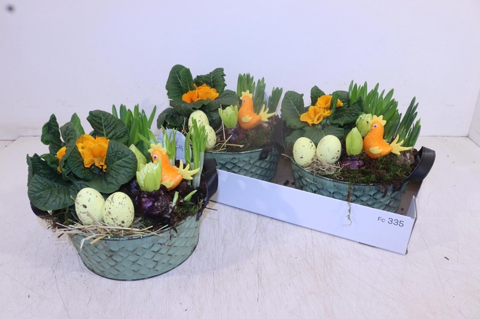 <h4>ARR TUINPLANTEN</h4>