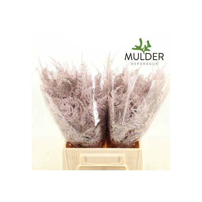 <h4>ASP OV KLB H%</h4>