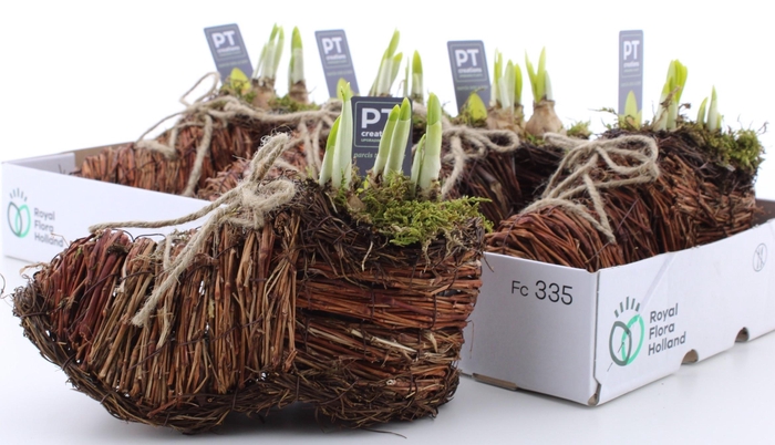 <h4>ARR N TETE A TETE</h4>