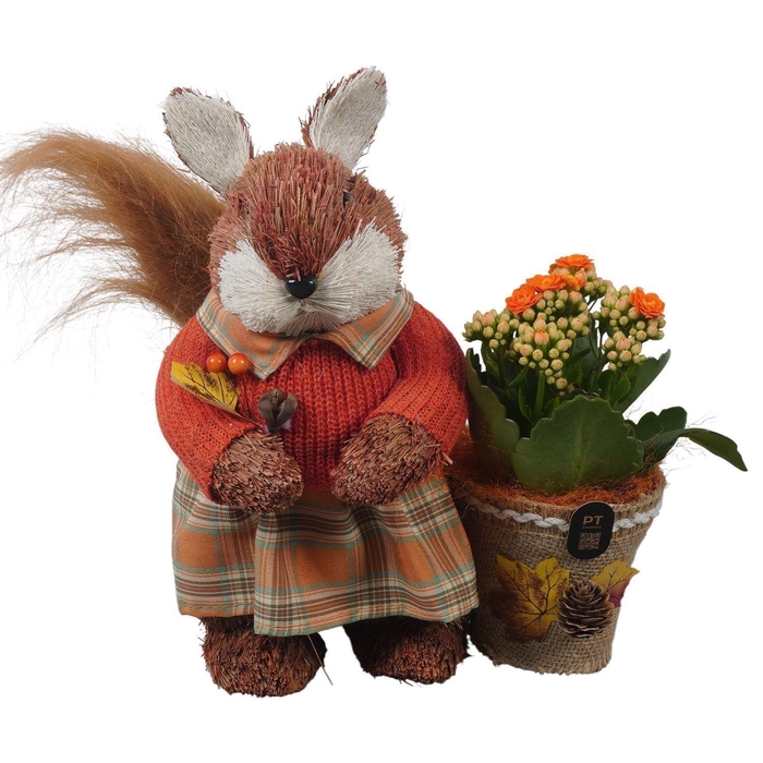 <h4>Arr.   Planten L%</h4>