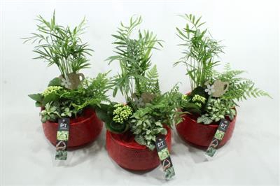 <h4>6364 KER LUXE ROOD CHAM</h4>