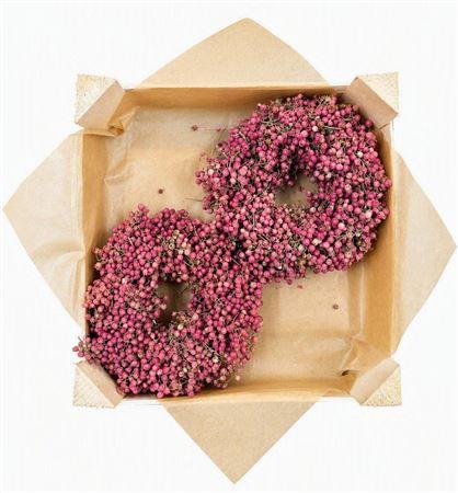 <h4>WR SCHINUS 20CM X18</h4>