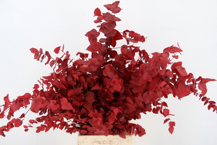 <h4>DROOGBL BEWERKT H%</h4>