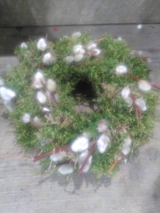 <h4>KRANZ 08 MOOS-KÄTZCHEN 15CM</h4>