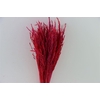 Dried Artz Rice Grass Monet Bunch