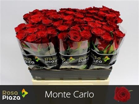 R Gr Monte Carlo
