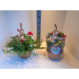 PERKPL GEM IN POT