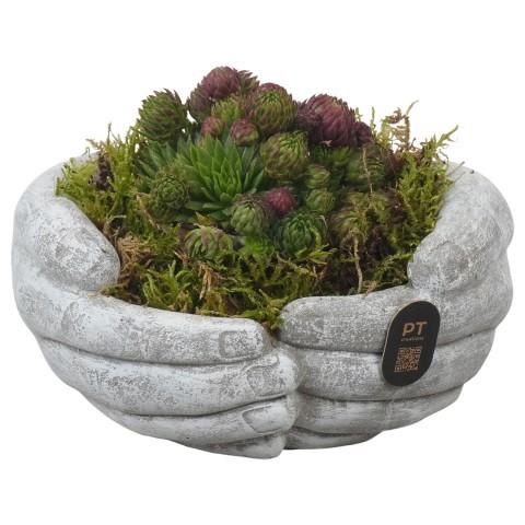 <h4>PTAH3012 Arrangement allerheiligen in beton handen pot</h4>