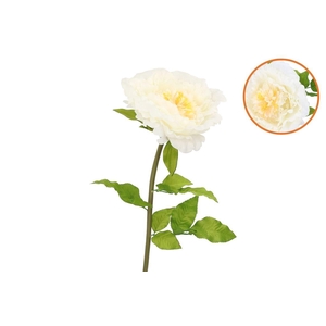 Silk Amazing Peony Beauty Cream Xxxl 58x140cm