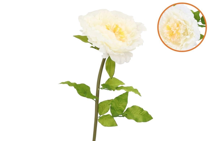 <h4>Silk Amazing Peony Beauty Cream Xxxl 58x140cm</h4>