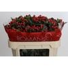Hypericum True Romance Spray
