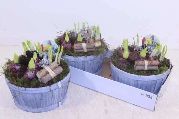 <h4>ARR BOL KNOLGEWAS</h4>