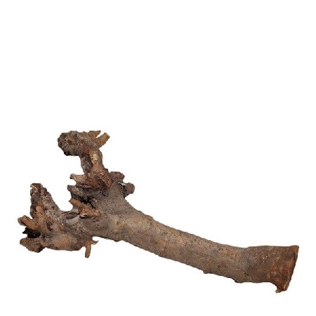 <h4>Droogdeco Kuwa root 40cm</h4>