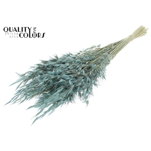Avena Wild per bunch Frosted Light Blue
