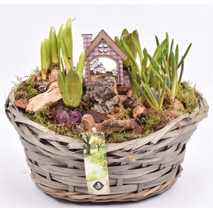 Wilg mand ovaal 27x23cm