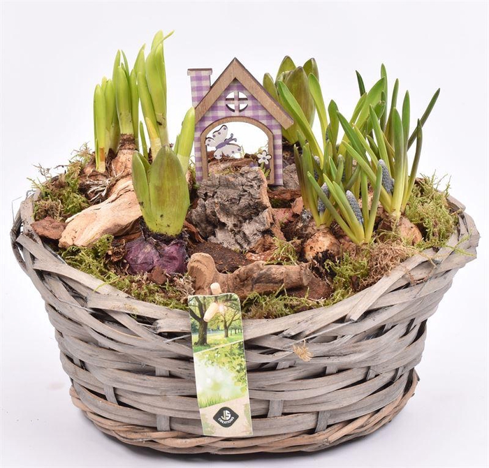 <h4>Wilg mand ovaal 27x23cm</h4>