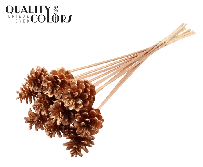 Pine cone 5-7cm on stem Antique Gold