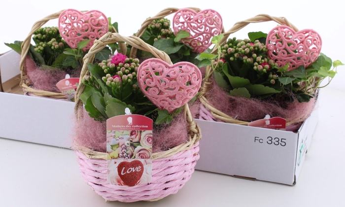 <h4>ARR KAMERPL</h4>