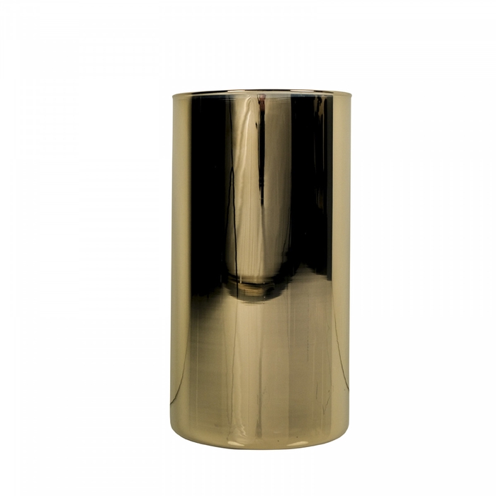 <h4>Glas Cilinder d14*21cm</h4>