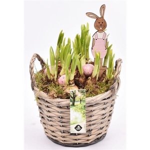 Wilg mand grijs met oor 18cm