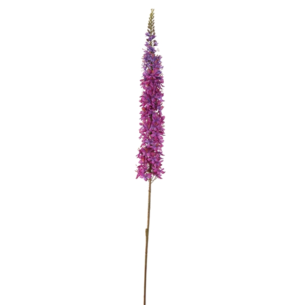 <h4>Eremurus 109cm lavender</h4>