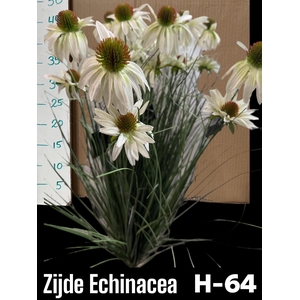 HUIS EN TUINDECO H%