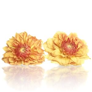 Dahlia orange 5,5-6cm