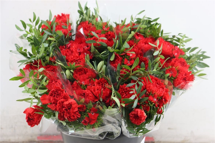 <h4>Bouquet Dianthus Mix Red</h4>