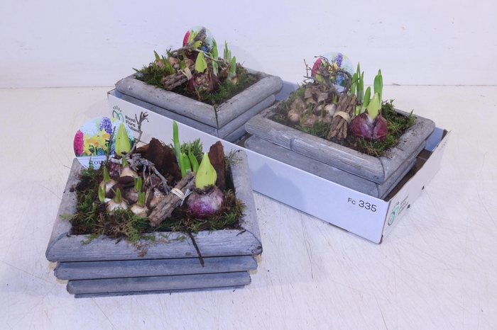 <h4>ARR BOL KNOLGEWAS</h4>