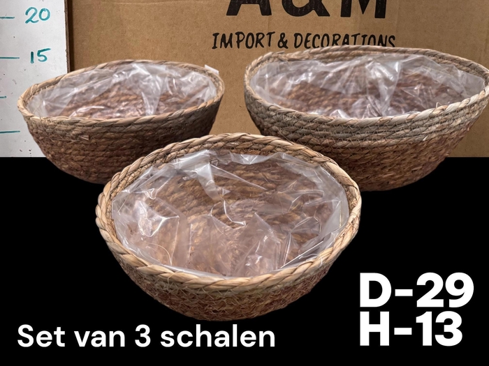 <h4>MANDWERK H%</h4>