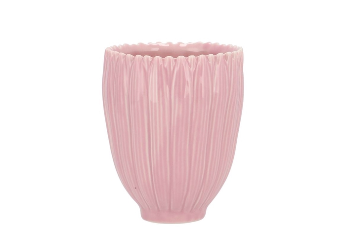 <h4>Bloom Daisy Dreamy Pink Cup 9x9x11cm</h4>