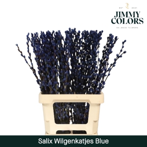 Salix Katjes L70 Blue