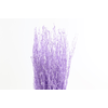 Berk Klb Lavender Light