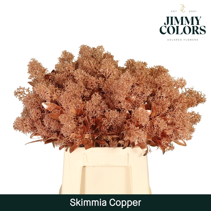 <h4>Skimmia Per Bos L45 Mtlc. Koper + Glitter</h4>