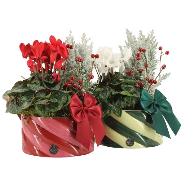 Arrangementen Kerst H%