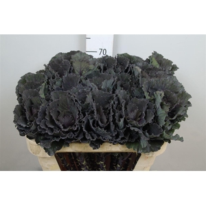 Brass Black Leaf