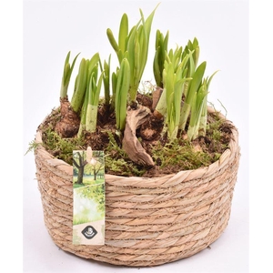 Touwmand laag 19,5cm