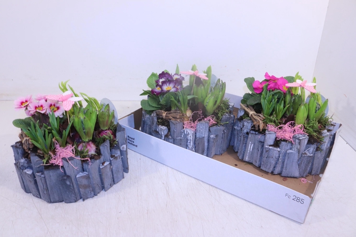 <h4>ARR TUINPLANTEN</h4>