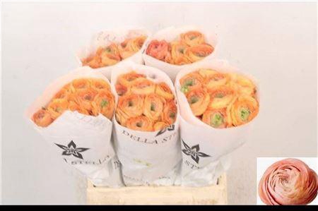 <h4>Ran Su Honey Salmon</h4>