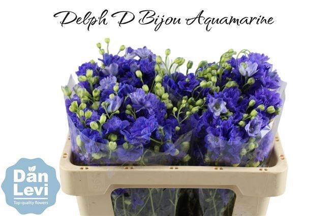 <h4>DELPH D BIJOU AQUAM</h4>