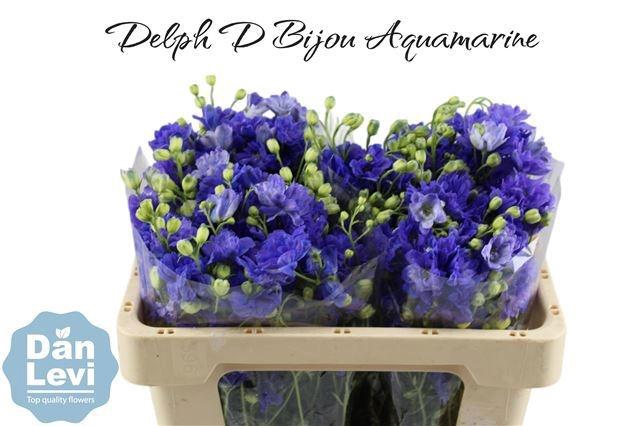 <h4>DELPH D BIJOU AQUAM</h4>