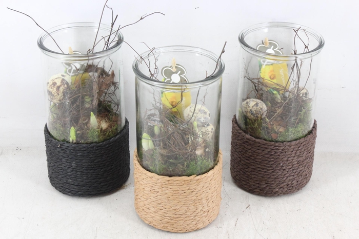 <h4>arr4 Narcis PL - Glas cilinder touw x6</h4>